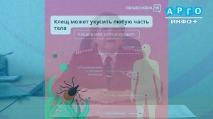 Ирина Азаренкова об инфекционных заболеваниях на территории Сафоновского округа