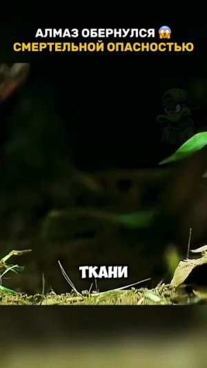 Краткий пересказ фильма 2026