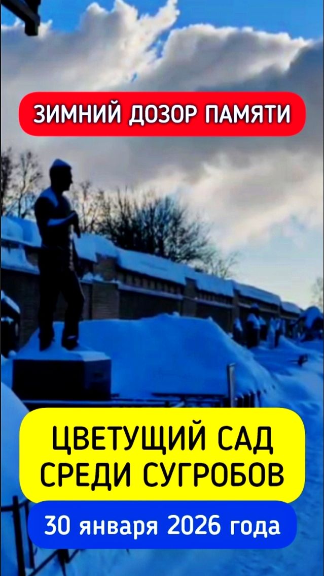 Тепло памяти: зимний уход за могилой Юрия Шатунова #shorts #2026 #шатунов #белыерозы #ласковыймай смотреть онлайн