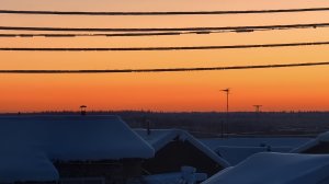 Привезли горбыль.