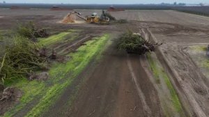 Уборка фруктовых садов и измельчение миндальных деревьев