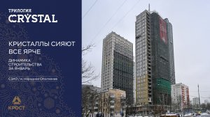 Трилогия CRYSTAL. Динамика строительства за январь