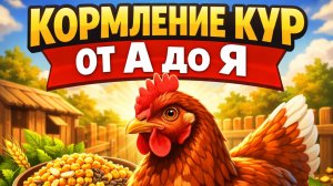 🔥 КОРМЛЕНИЕ КУР ОТ А ДО Я 🐔
Как ПРАВИЛЬНО кормить кур, чтобы яйца были крупные, перо блестело и ку