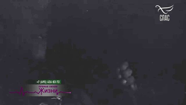 Он не погиб, а стал воином Христовым