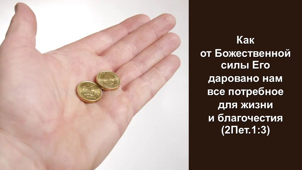 От Божественной силы Его даровано нам все потребное для жизни и благочестия... (2Пет.1:3)