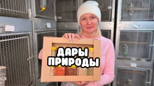 Набор "10 волшебных даров природы" | Сколько чего можно?