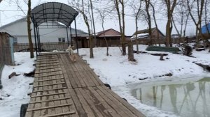 Оттепель.30 января