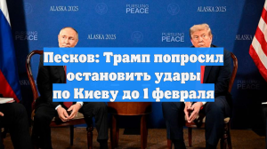 Песков: Трамп попросил остановить удары по Киеву до 1 февраля