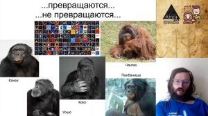 Станислав Дробышевский: Почему обезьяны не превращаются в людей (№6)