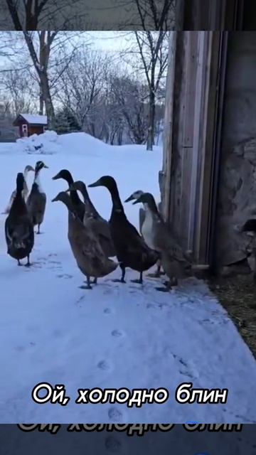 Ой, холодно блин!