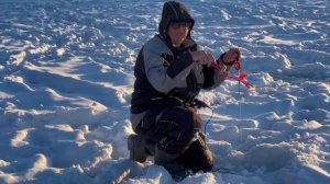 Поимка форели на икру