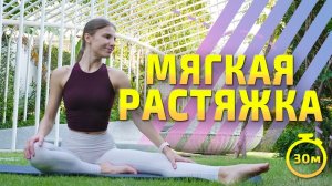 РАСТЯЖКА НА ВСЕ ТЕЛО | Вечерняя растяжка