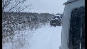 Развоз кормов на охотничьих угодьях 12.2024