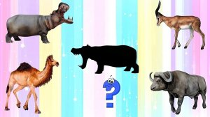 Викторина для детей 3-5 лет Дикие животные