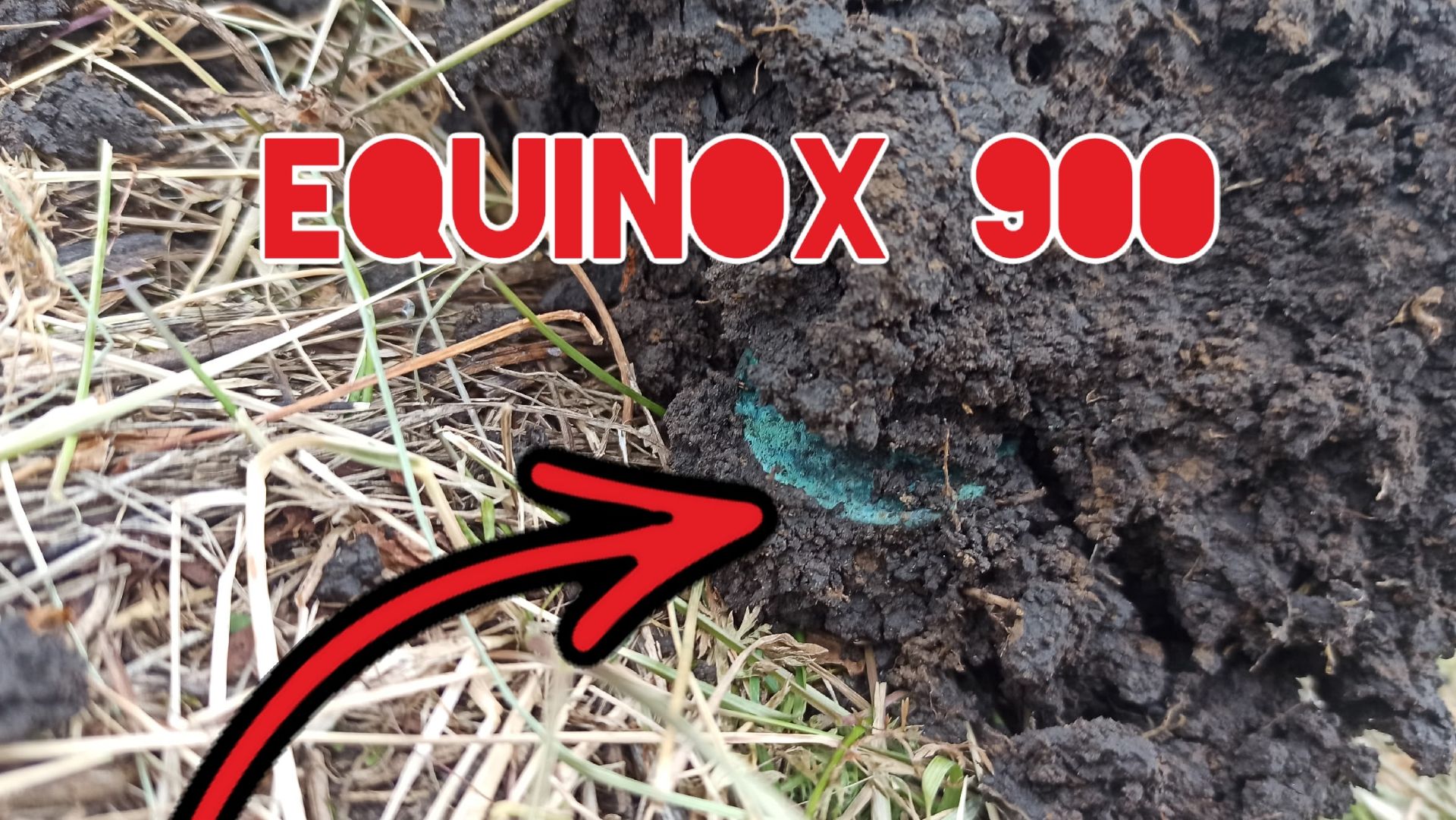 ИЩУ КЛАД с металлоискателем в глуши! НАШЕЛ старинные монеты! Коп монет. МД поиск смотреть онлайн