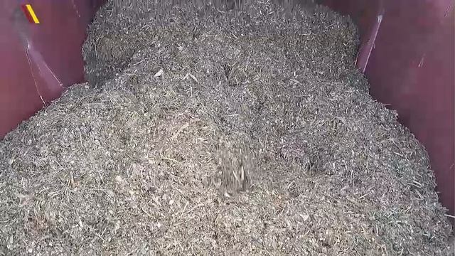 🐮🍀 TRIOLIET смотреть онлайн