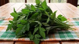 ЗЕЛЕНЬ В КУЛИНАРИИ. Рецепт внутри! С Вас подписка, лайки и  комменты!