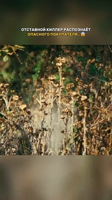 Краткий пересказ фильма смотреть онлайн