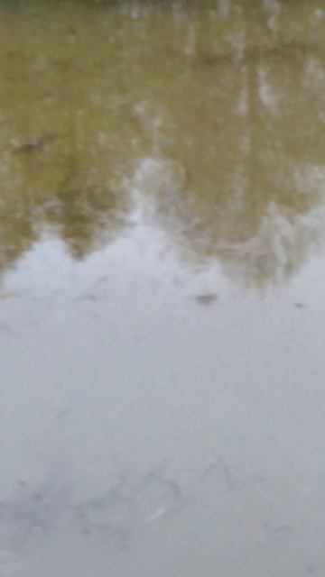 ✔Очень осторожный клёв🐟✔