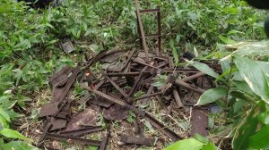 Провёл день на бамбуковой поляне и заготовил хороший объём и вес металла.