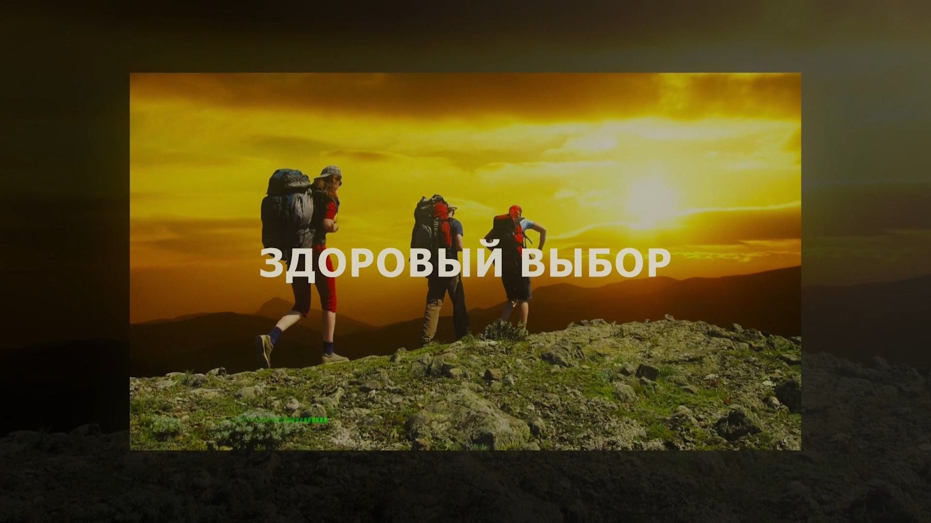«Здоровый выбор» Тележурнал