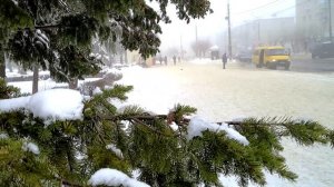 Камышин 30 янв 2026 Картина дня