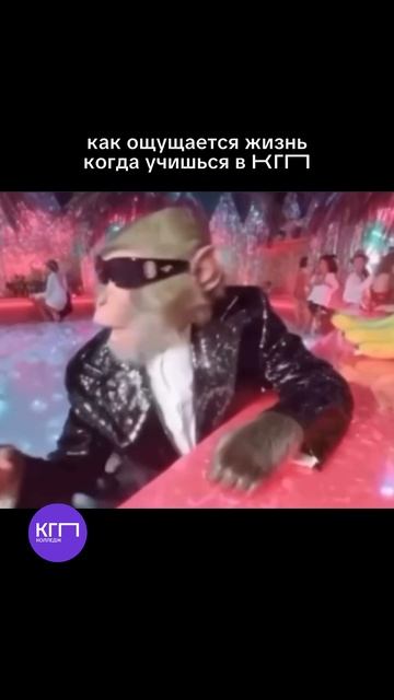 Как ощущается жизнь, когда учишься в КГП 😎