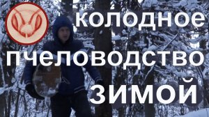 Колодное пчеловодство зимой