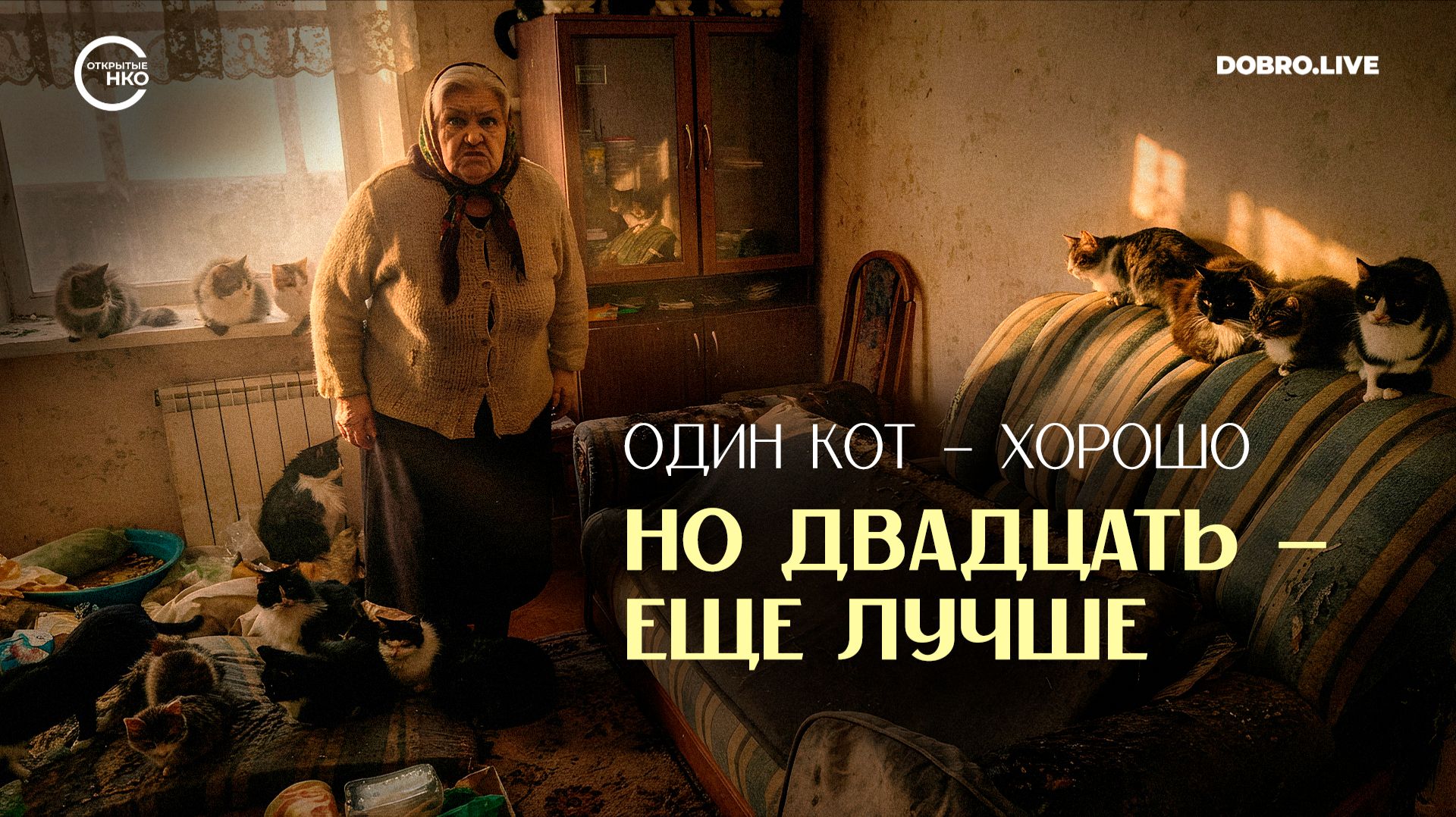 Карта «нехороших квартир» смотреть онлайн