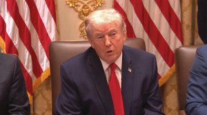 Владимир Путин согласился с просьбой Д. Трампа на неделю прекратить удары по Киеву до 1 февраля.