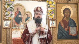 О жизни до Неба