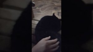 Мы в баньке