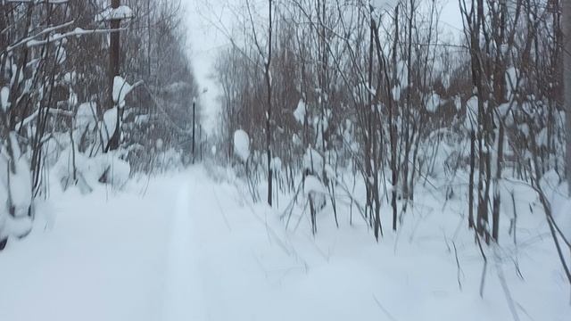 дневная видеозапись на смартфон Hotwav A17 Pro max смотреть онлайн