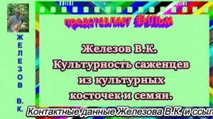 Железов В.К. Культурность саженцев из культурных косточек и семян.