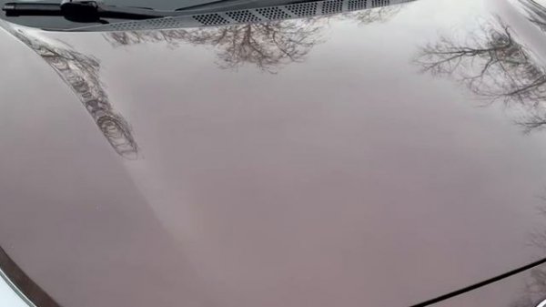 -6717415689614384037