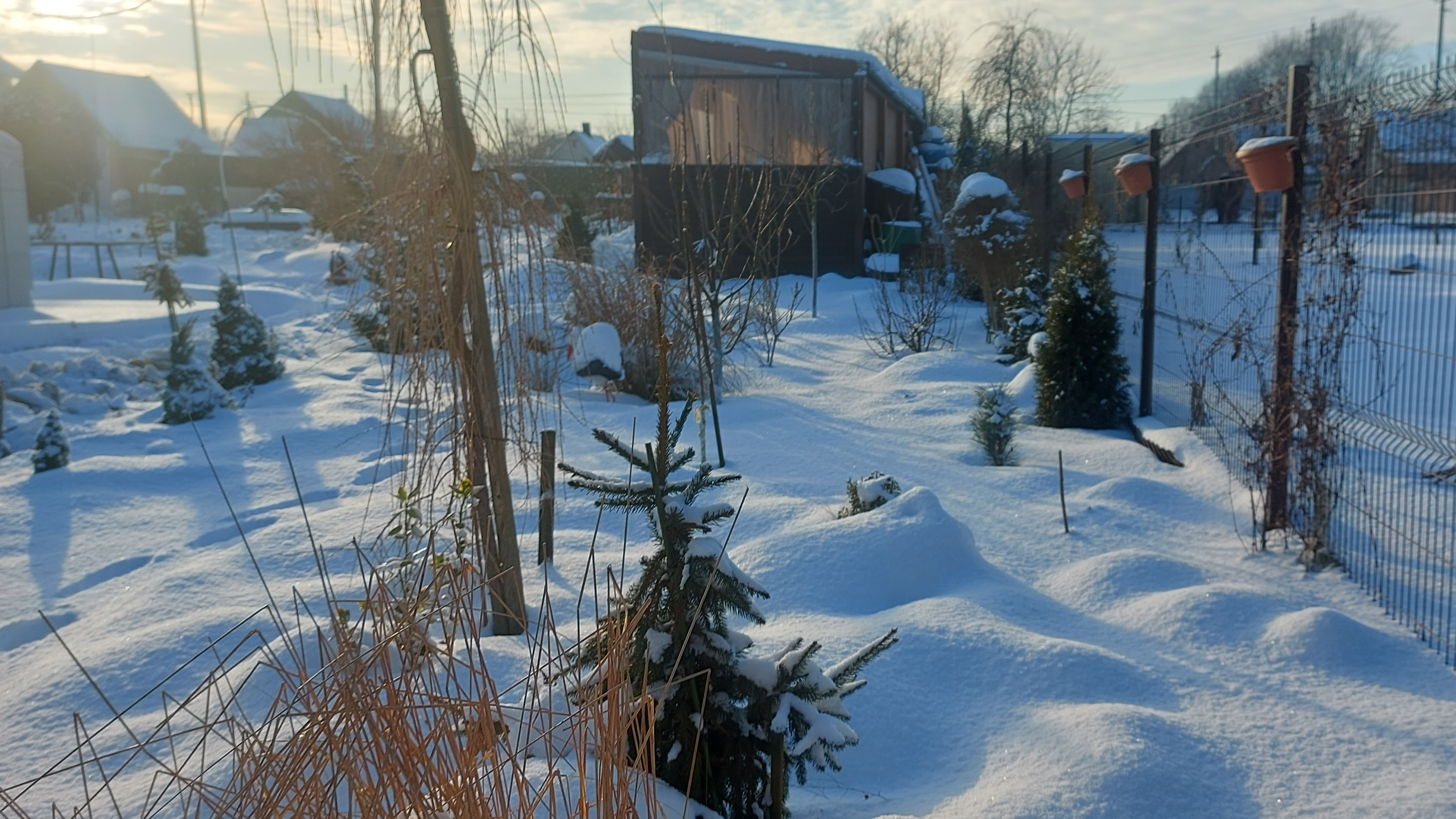 Зима лютует.Мороз крепчает. Надоело🥶 смотреть онлайн