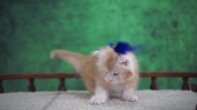 Enot 1,5 месяца смотреть онлайн