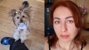 Еле подстригла собаку. Помогите советом😊#семьяизмариуполя