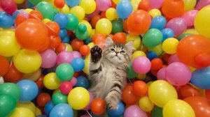 ИИ | ЗАЛИПАЛКА | АСМР