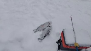 29.01.26 г. РК  Волна.