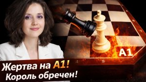 Секрет победителей: жертвы без жалости