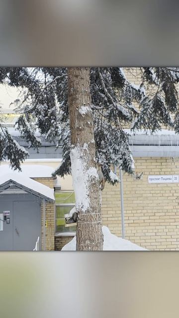 Детсадовские белочки 😍