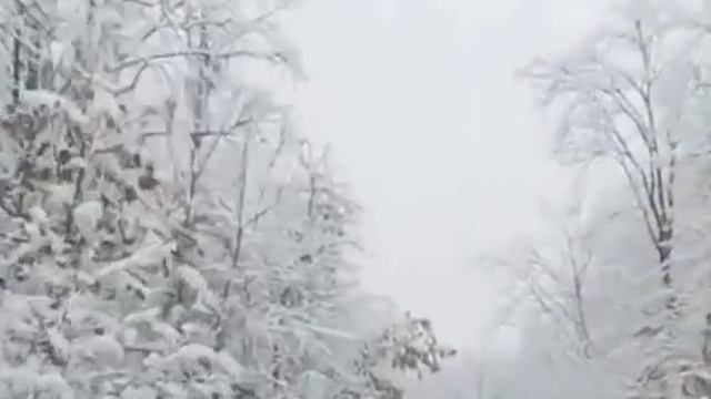 Такого снегопада давно не знали здешние места... ❄️❄️❄️ смотреть онлайн
