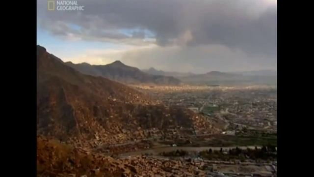 Собака лает, караван идёт смотреть онлайн