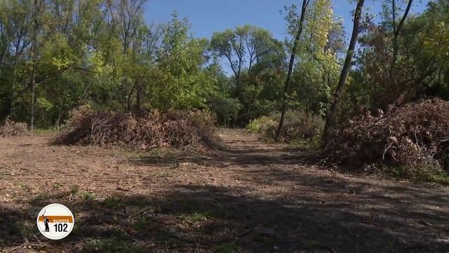 экология  тема Слушаем Землю