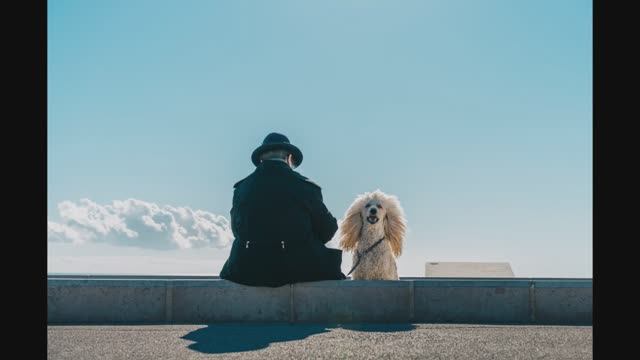 Избранное из победителей фотоконкурсов AAP Magazine. 2022-2024 смотреть онлайн