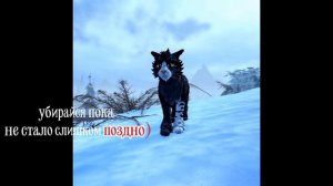 ну чо говорить?готовила день :_ та что попробуйте не отравится/ WCUE