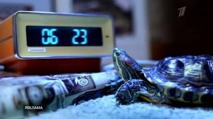 Заставки Рекламы "Первый Канал" Утро (2012-2014) 1440p