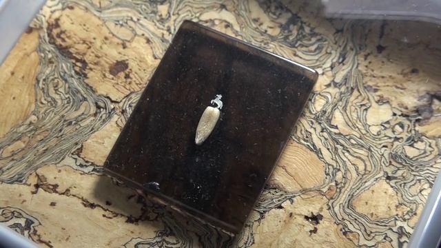 30.01.2026_Новости_6..+