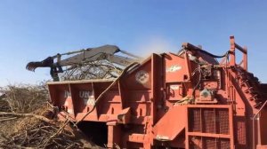 Услуга - Уборка фруктовых садов